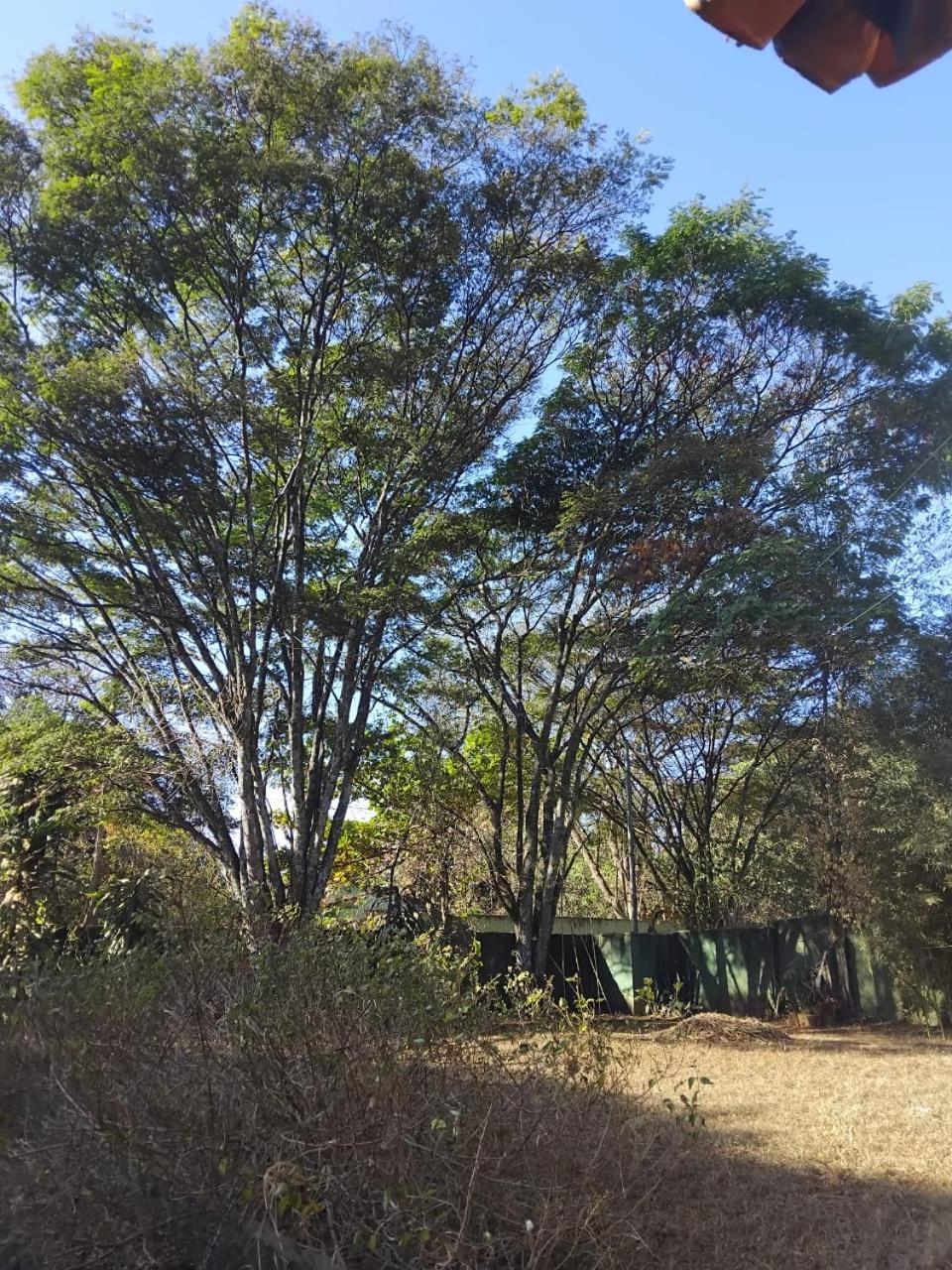 فيلا Sitio Bemtevi - Jockey Camping - Uberlândia المظهر الخارجي الصورة